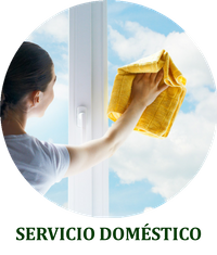 SERVICIOS DOMÉSTICOS SERVICIOS DOMÉSTICOS